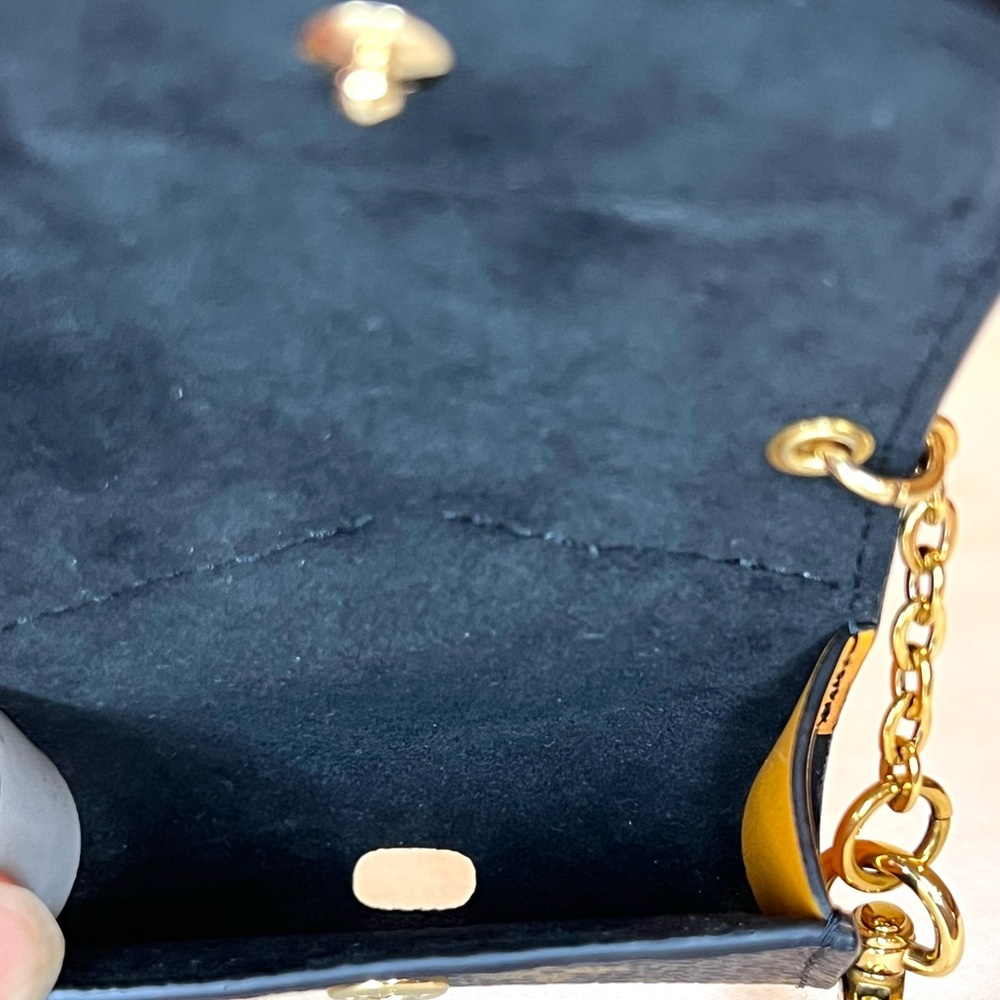 Louis Vuitton Monogram Orange and Black Cat EarPods Case - Picture 9 of 13